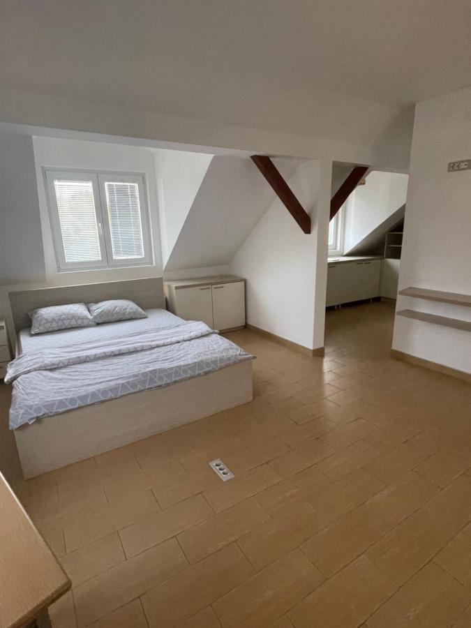 Vila Odmor Na Dunavu Beocin Extérieur photo